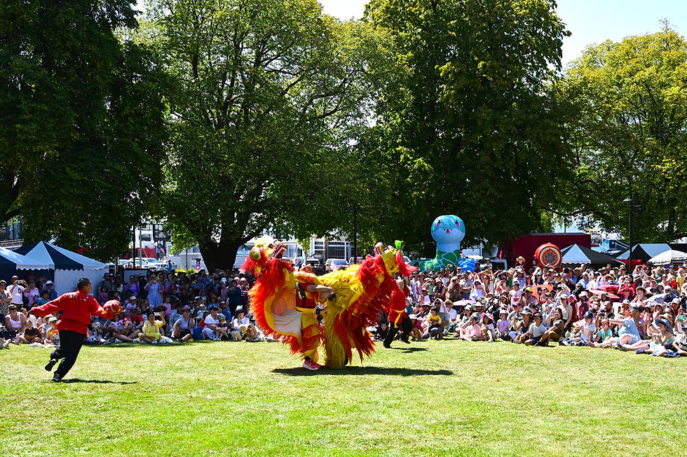 Lion Dance 3.jpg