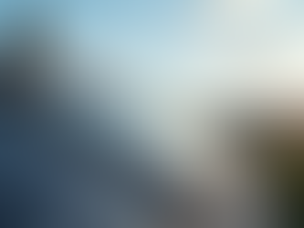 Exploring Solar Panel Installation Options in Illinois