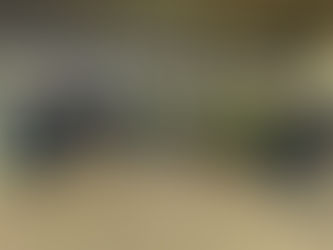 Making Solar Energy Accessible for Illinois Homeowners