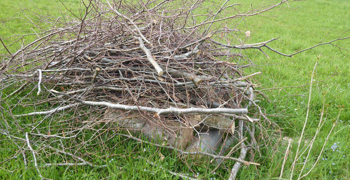 Pflegeeinsatz: Hecke in Kaufdorf