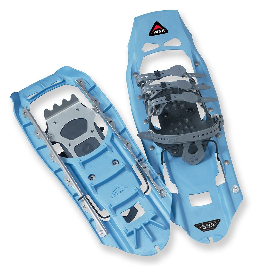 Denali EVO Ascent Schneeschuhe 2.jpeg