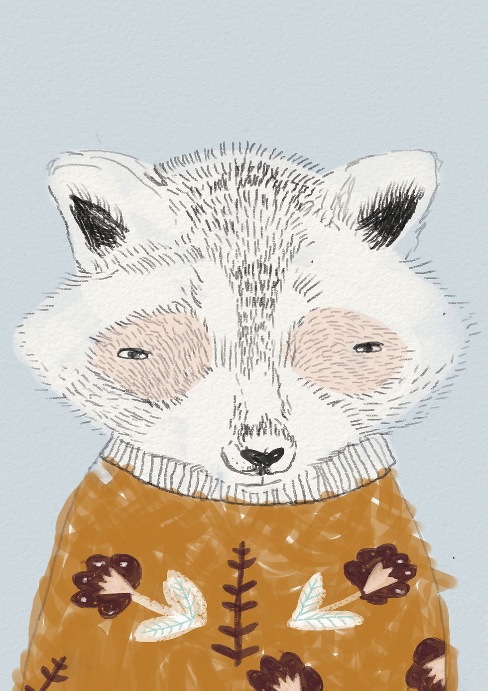 Raccoon