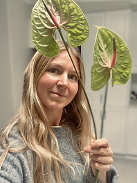 Screen Shot 2025-07-17 at 9.16.08 pm.png