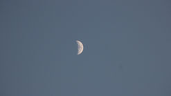 El Baile de Espirales