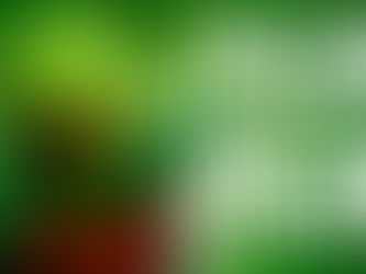 Potty The Plant: Dark, Adorable and Unmissable - ⭐️⭐️⭐️⭐️⭐️