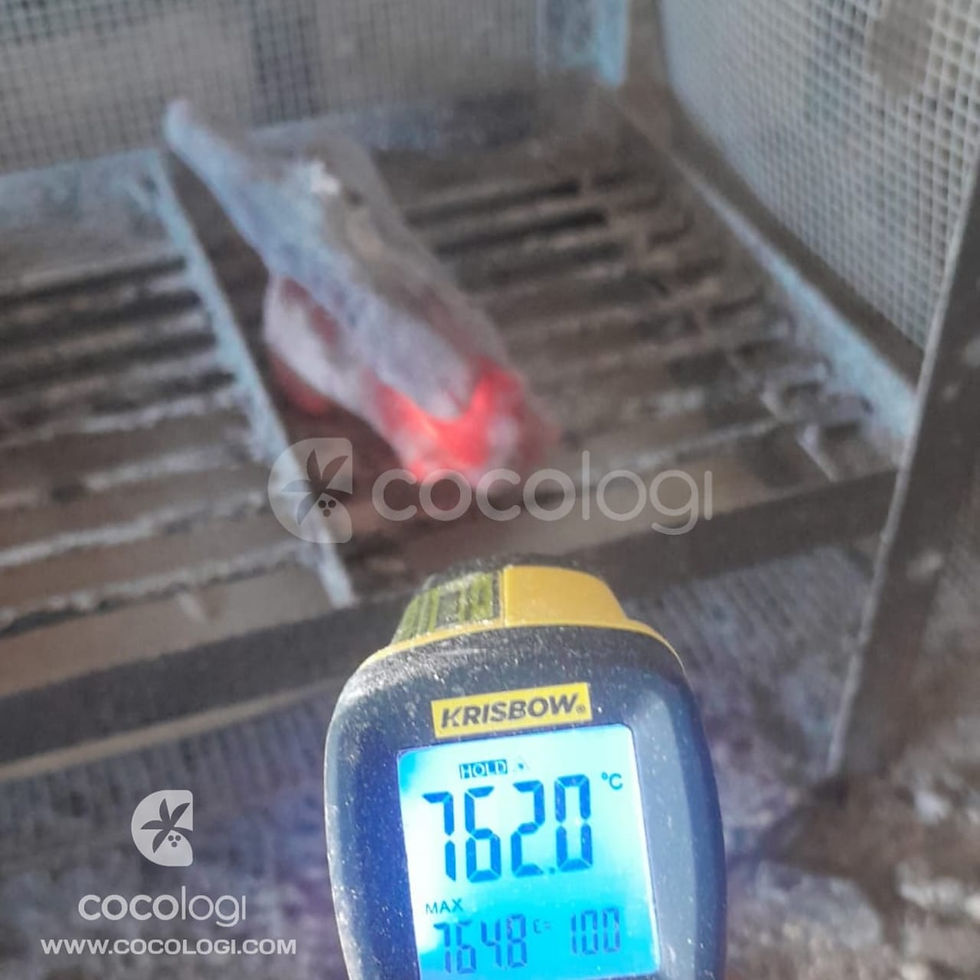 High burning temperature, high quality Indonesia Binchotan (white charcoal)