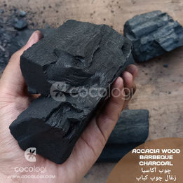 Indonesia Accacia hardwood charcoal for barbeque
