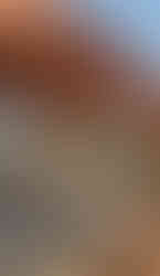 catalan shell structure