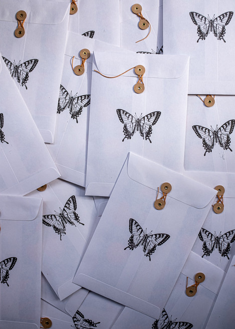 Invitation Envelope Art