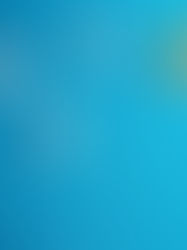 The Sublime Coherence Leadership Model