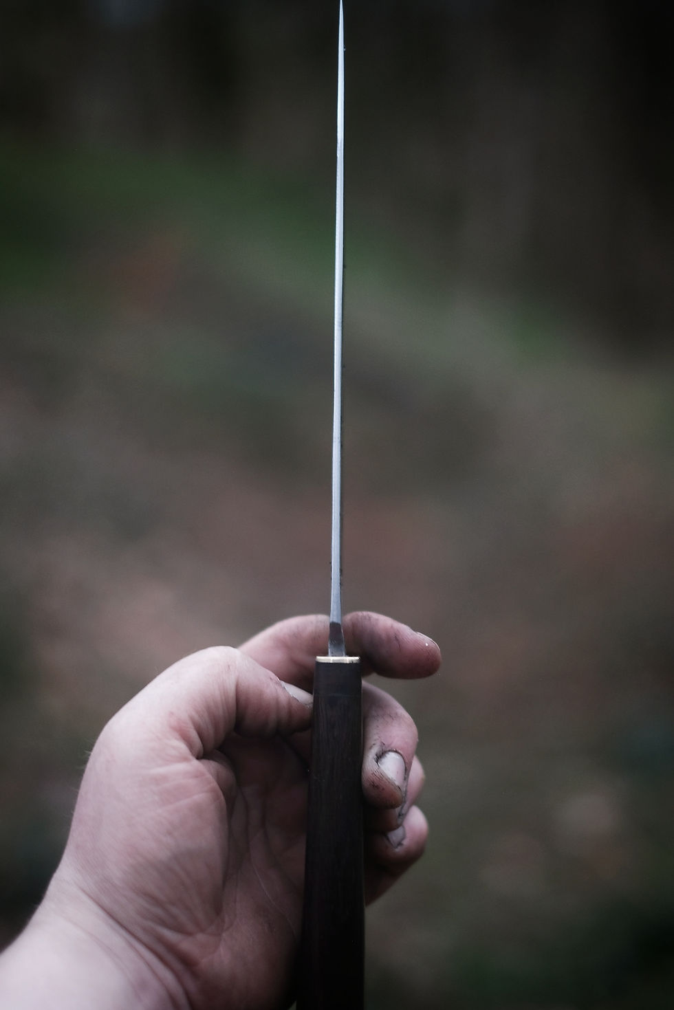 Thumbnail: Bowie chef knife