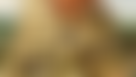 Do Anti-Corruption Agencies Really Matter? Some Lessons on State Legitimacy from Indonesia