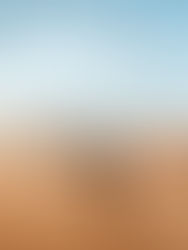 Prière et contemplation au Sahara