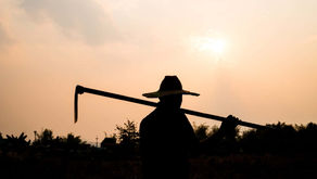 South African Farmers Brace for Tough Winter Ahead