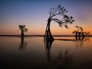 SUMBA, UNE ÎLE ENCORE PRÉSERVÉE
