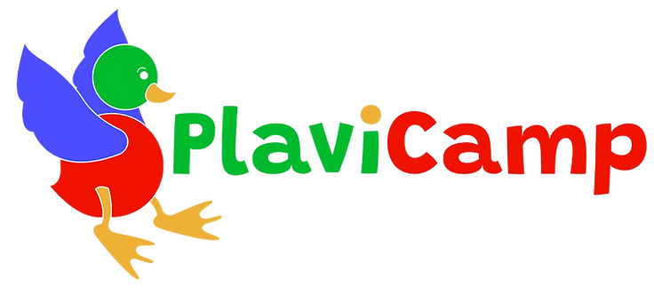 LOGO PLAVICAMP SENZA SFONDO (2).jpeg