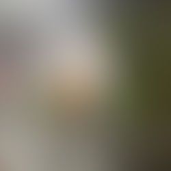 Em um dia, Niterói registra chuva equivalente ao esperado para um mês