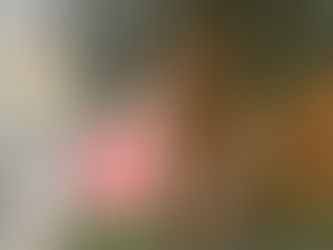 Petrópolis sofre novamente com temporal deste domingo (20)