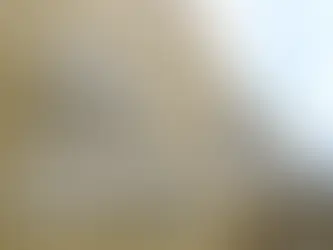 Jovem de 16 anos é assassinada a facadas em Japeri