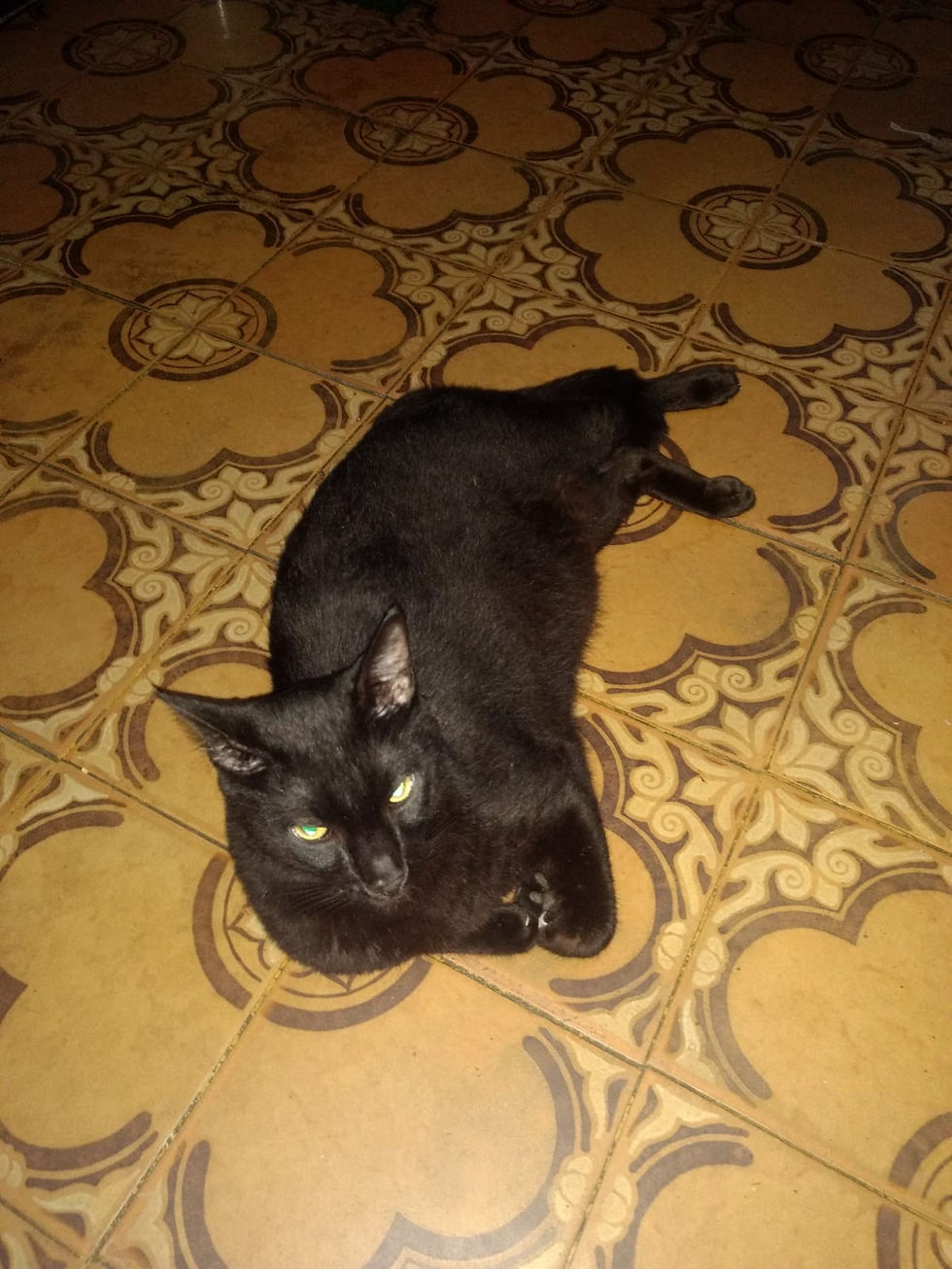 Júpiter/Foto: Acervo da família