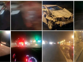 Boiada invade BR-101, provoca acidente e deixa animais mortos em Tanguá