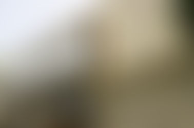 Câmara de São Gonçalo se omite do debate sobre a crise, por Mário Lima Jr.