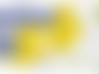 Fórum Rio volta à FFP para discutir demandas das cidades