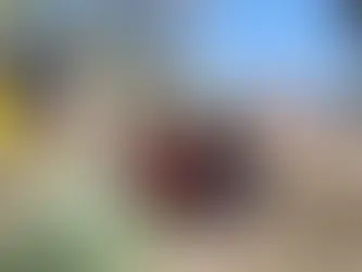 Acusado de matar jovem em Maricá é condenado a 20 anos de prisão