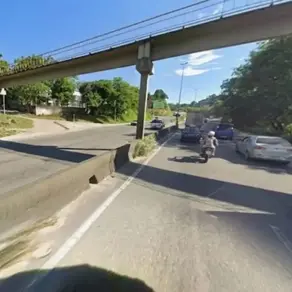 RJ-104 sofre retenções após cavalo ser atropelado
