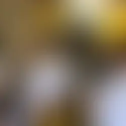 ONG de São Gonçalo está com inscrições abertas do curso gratuito de Energia Fotovoltaica para mulheres