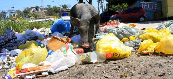 Foto: Reprodução Internet/Autor desconhecido