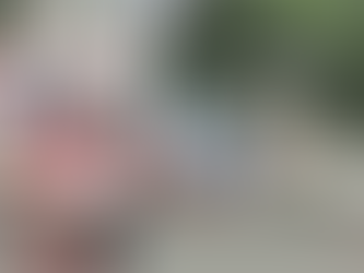 Entre bandeiras, santinhos e gaiolas de passarinho