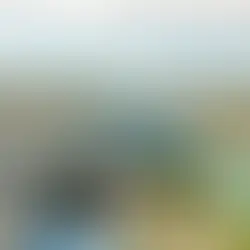 Motorista morre após capotamento na BR-101