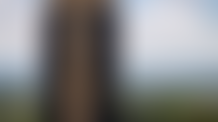 Focus: mercado sobe projeção da inflação para 4,80%