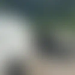 Corpo carbonizado é encontrado no porta-malas de carro em Niterói