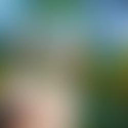 Grupo aposta R$ 13 milhões na Mega da Virada para tentar ganhar R$ 1 bilhão