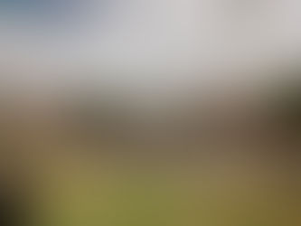 A necrópole israelita em Vila Iara, por Erick Bernardes