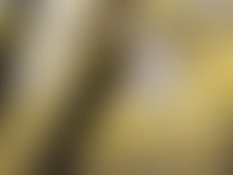 Escrevendo a PAZ - por Rofa Araújo