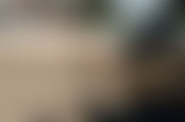 Maravilhas que nascem do caos, por Mário Lima Jr.