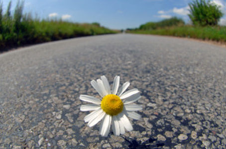 O retorno da barricada, por Mário Lima Jr.