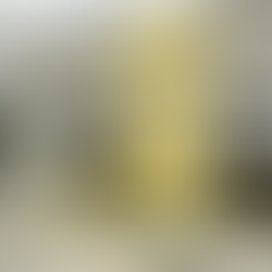  Operação é deflagrada contra grupo criminoso envolvido com pesca ilegal e venda clandestina de animais marinhos