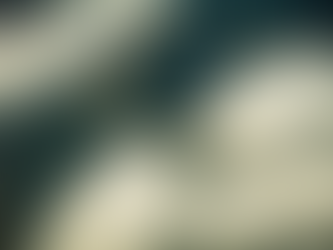 Desmatamento na Amazônia registra queda recorde de 35,4%, aponta Inpe