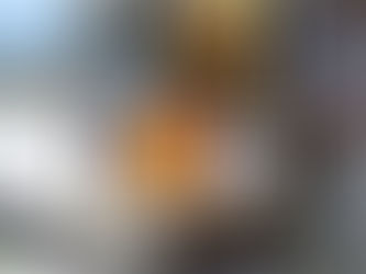 Sem contrato com gravadora, Flordelis exonera filhos de gabinete na Câmara