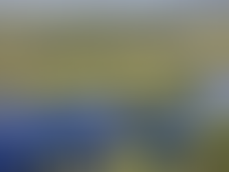 Desmatamento cai 32,4% no Brasil em 2024, diz relatório