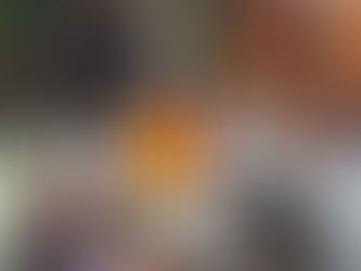 Déjà vu macabro: 4 mortos no Salgueiro; Médico boliviano envolvido em tráfico de bebê e mais