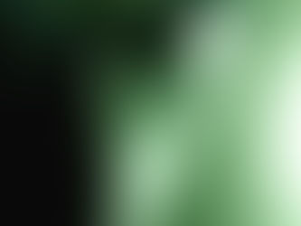 O ilustre visitante, por Fábio Rodrigo