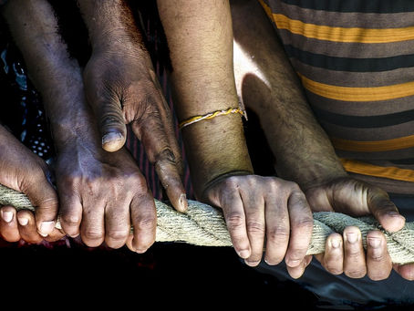 Solidário ou Solitário? - por Rofa Araújo