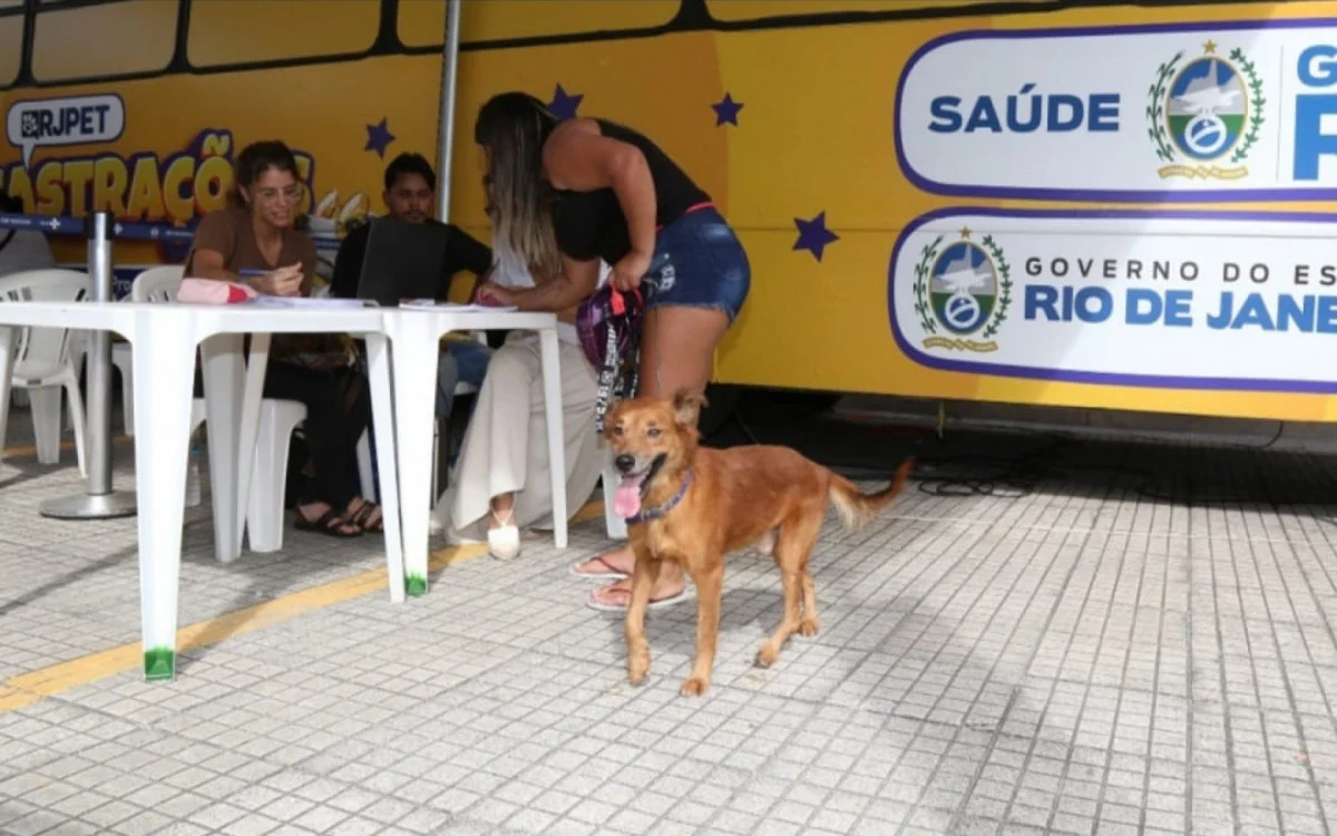 Foto: Divulgação