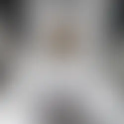  Mulher é presa no Aeroporto do Galeão por portar 4 kg de cocaína