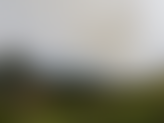 Polícia prende quinto suspeito de incêndios criminosos em SP